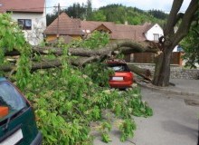 Kwikfynd Tree Cutting Services
kentlyn